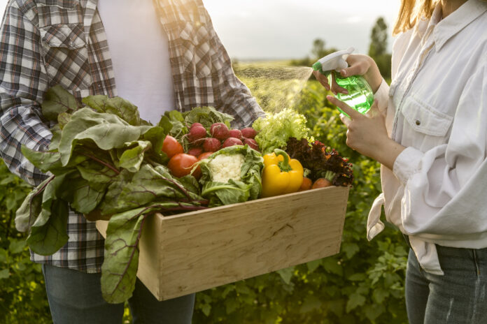 Vegetais frescos sendo higienizados diretamente na fazenda, representando a importância da alimentação orgânica e saudável.